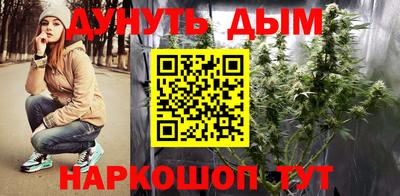 мдпв Ставрополь