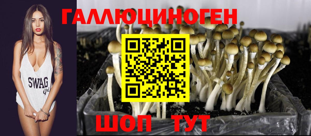 Подольск  Псилоцибиновые грибы Cubensis  Галлюциногенные грибы мухоморы  Вход с VPN 